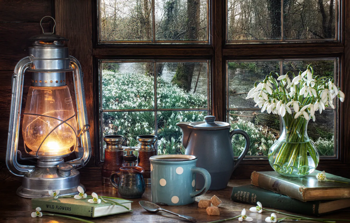 Фото обои цветы, стиль, книги, лампа, чайник, окно, подснежники, кружка