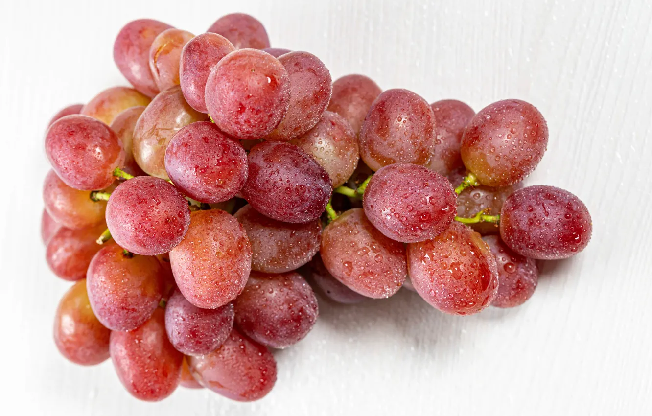 Фото обои капли, макро, ягоды, виноград, гроздь
