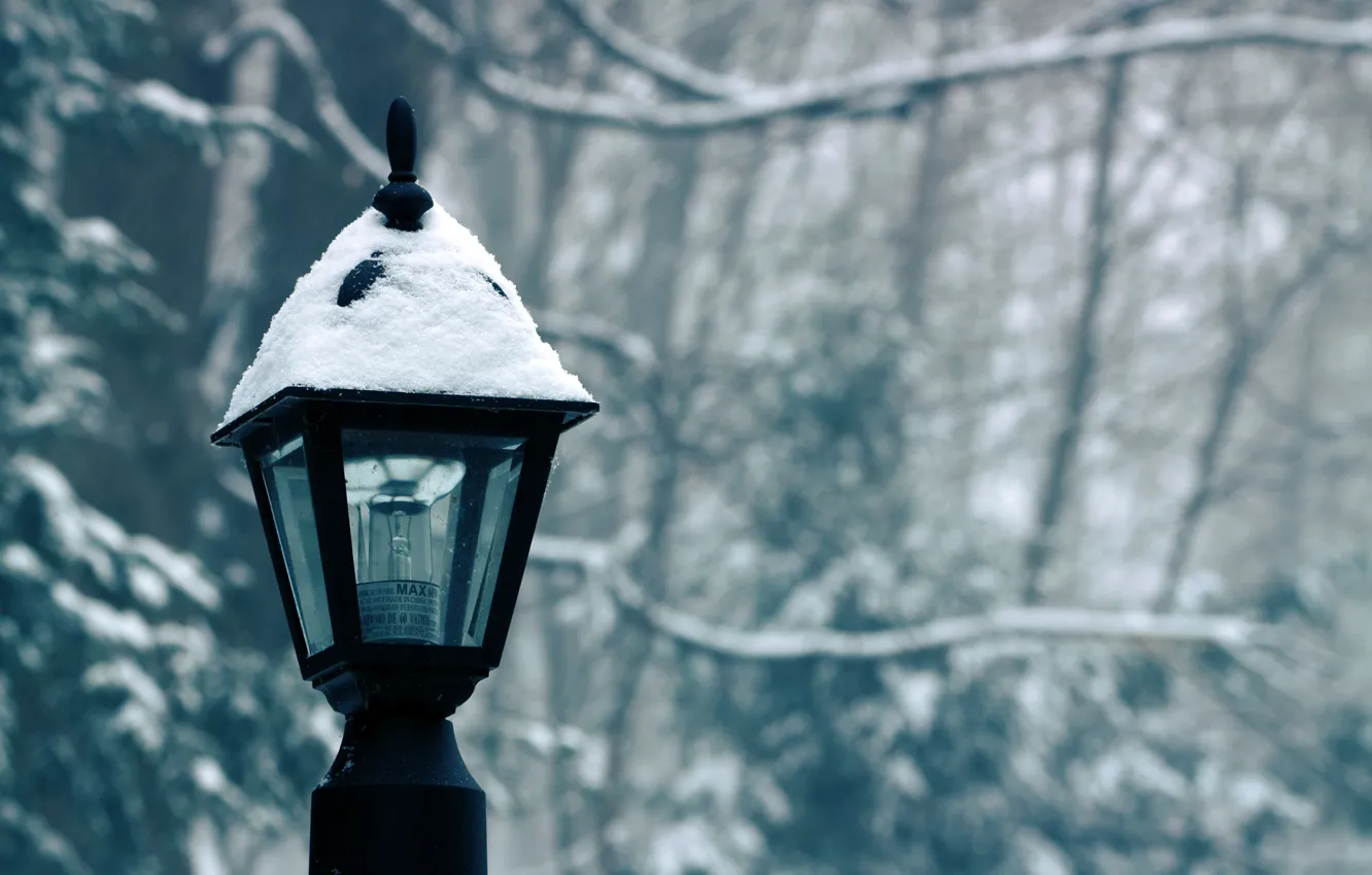 Фото обои зима, лампочка, снег, фонарь