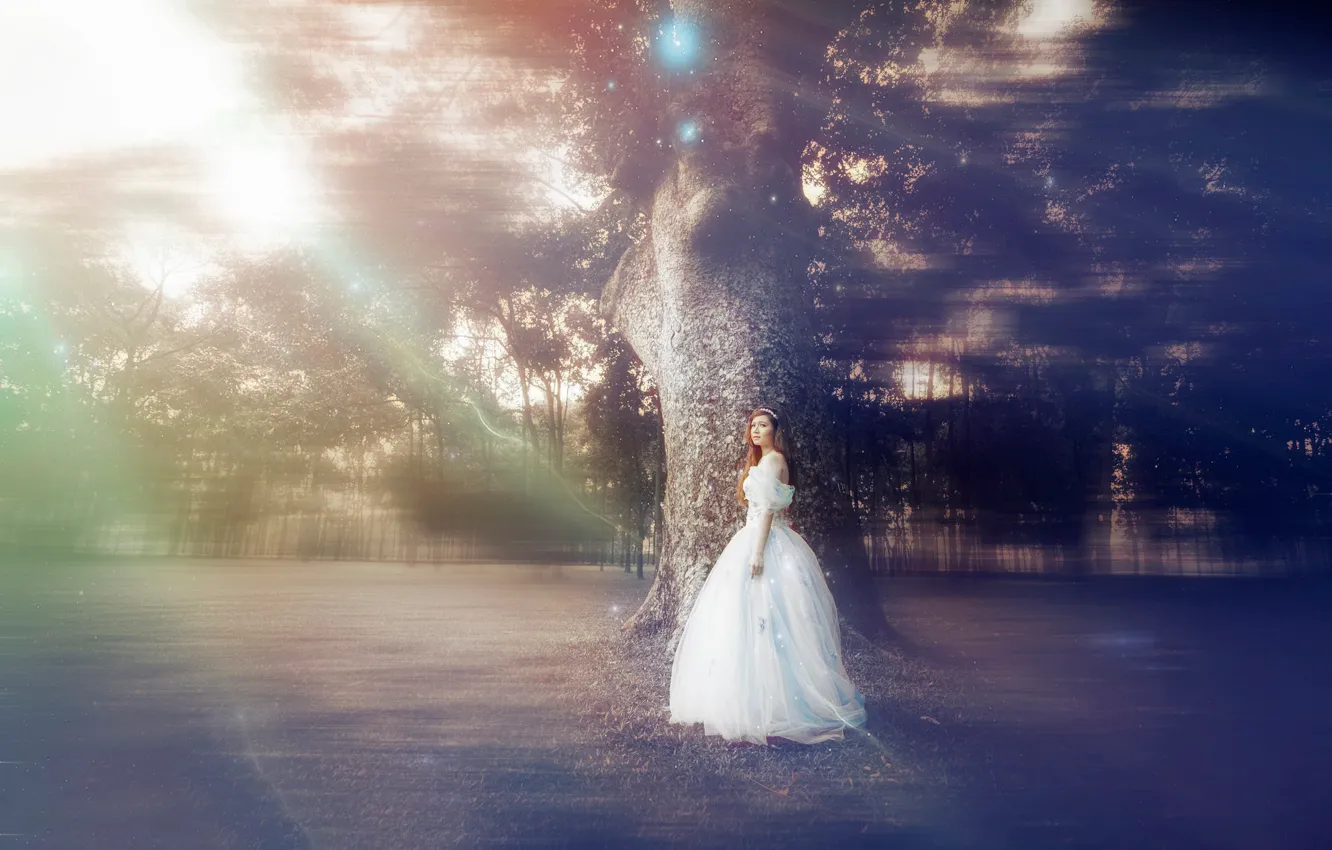 Фото обои девушка, дерево, сказка, платье, ALICE IN WONDER LAND
