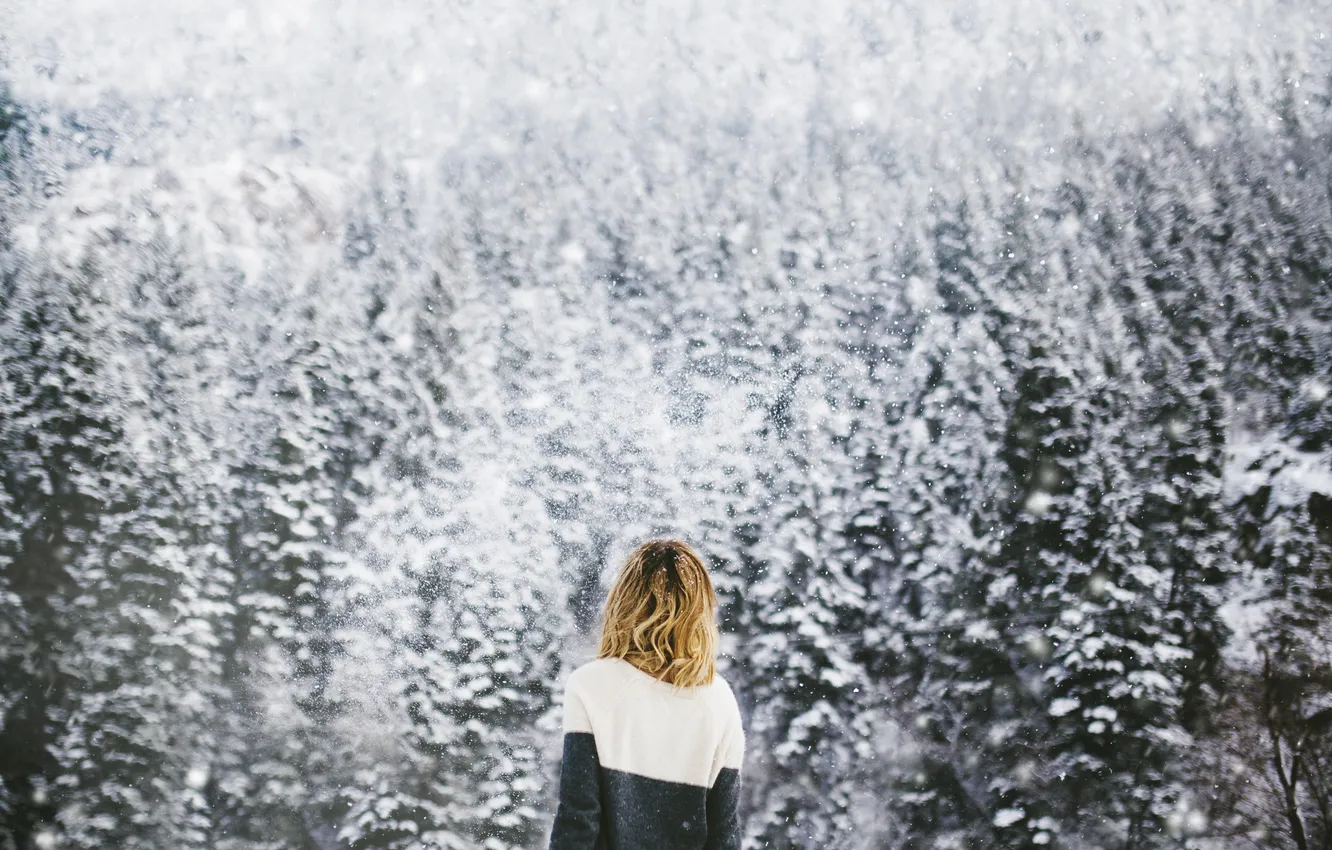 Фото обои девушка, снег, деревья