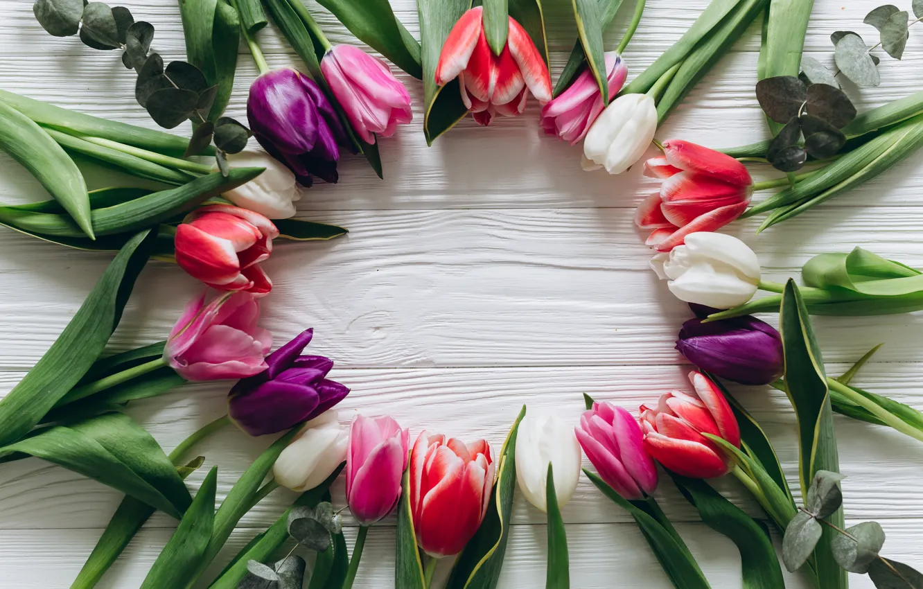Фото обои цветы, colorful, тюльпаны, розовые, white, белые, fresh, wood