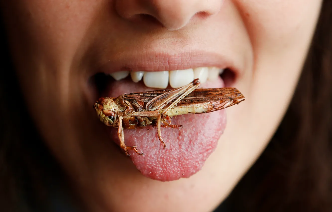 Фото обои woman, lips, insect, teeth, grasshoppers