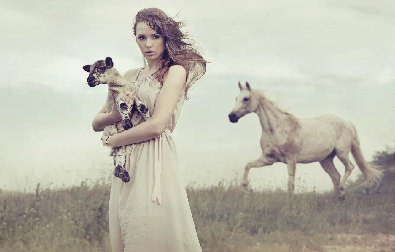 Фото обои девушка, ветер, лошадь, шатенка