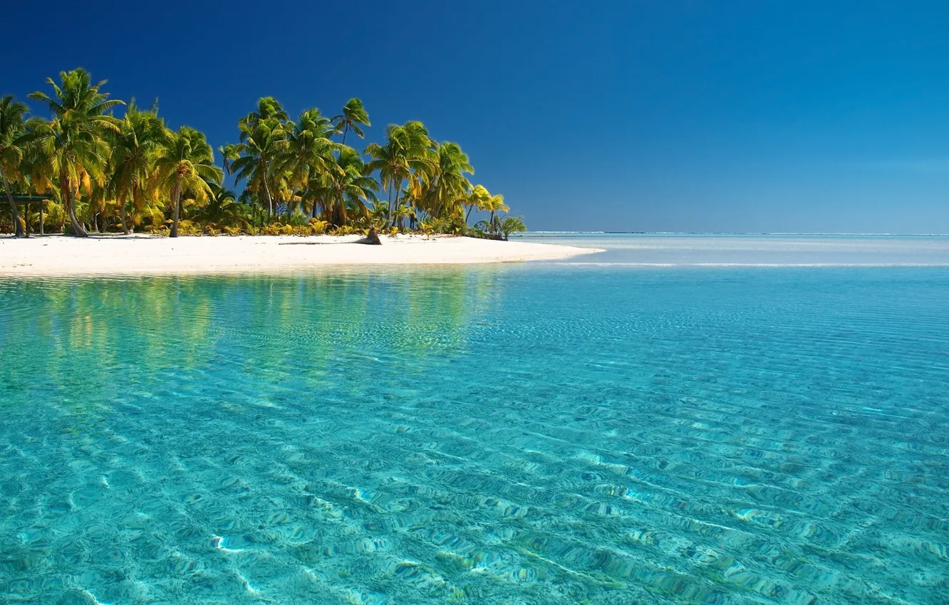 Фото обои Landscape, Beach, Palm Trees