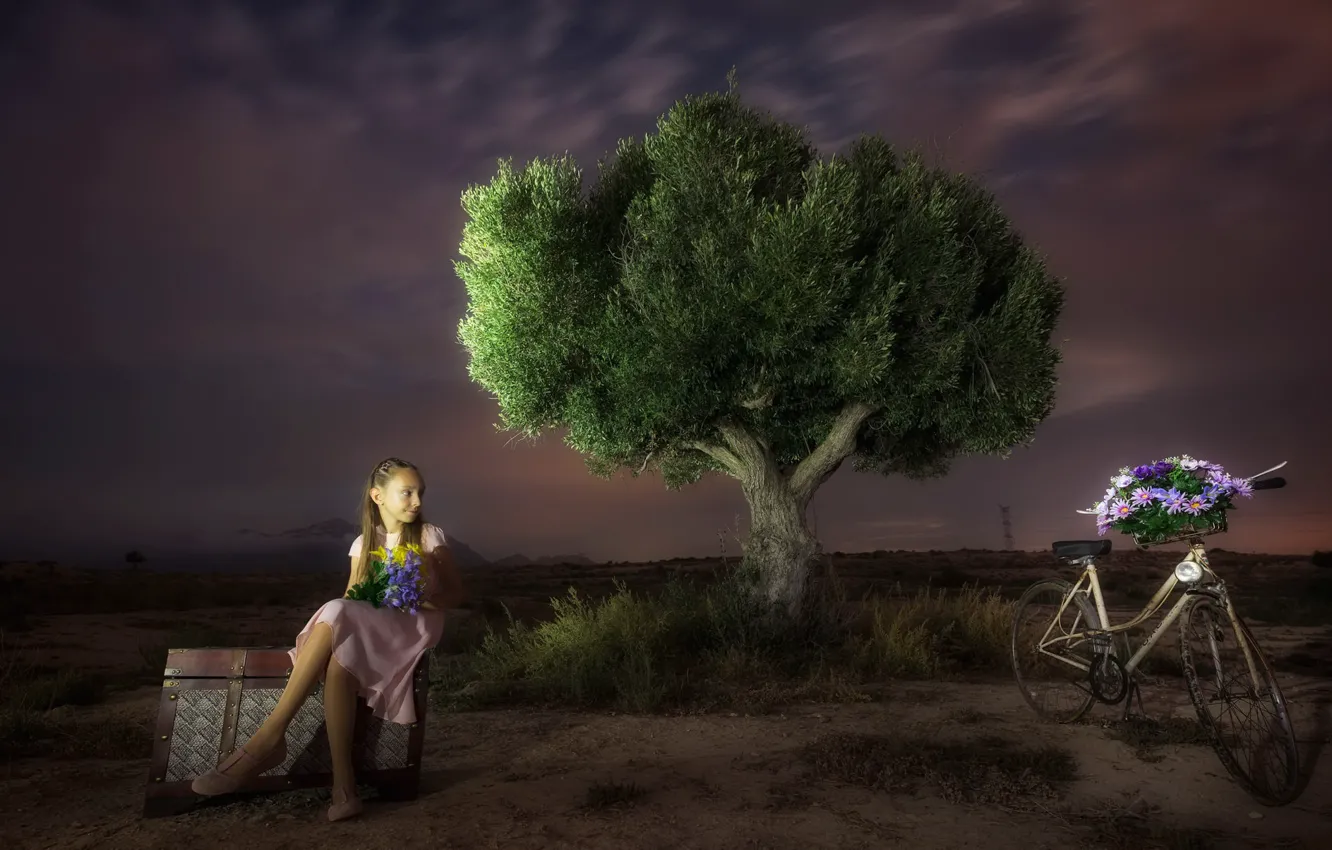 Фото обои ночь, велосипед, девочка
