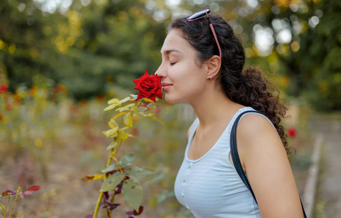 Фото обои long hair, flowers, red rose, model, brunette, gorgeous, photoshoot, posing