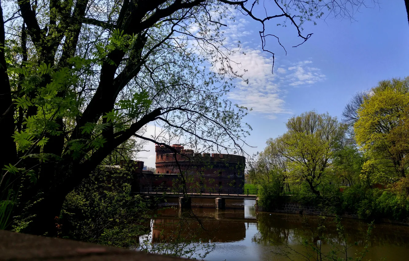 Фото обои озеро, весна, калининград