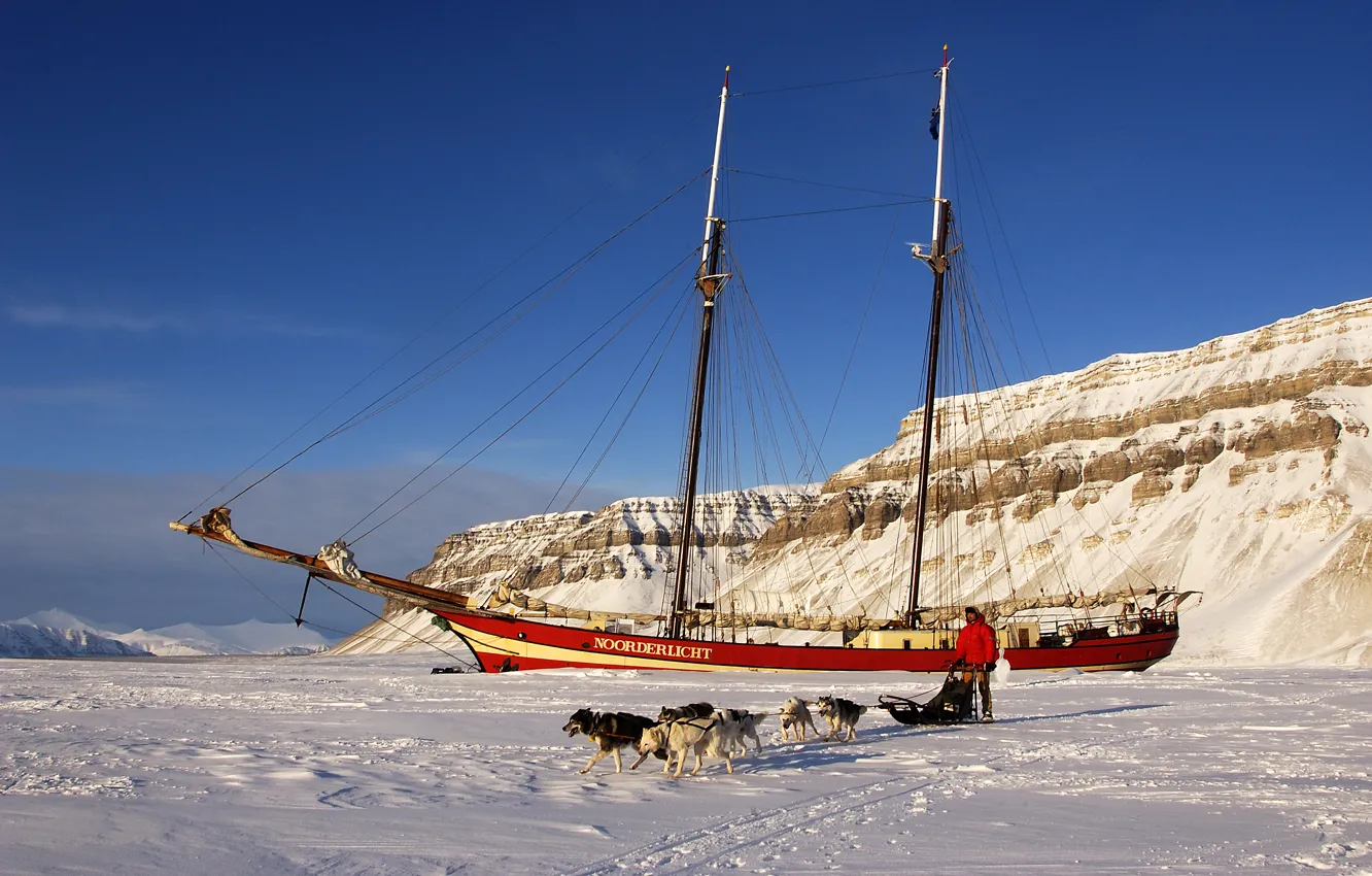 Фото обои лед, собаки, человек, корабль, парусник, мороз, сани