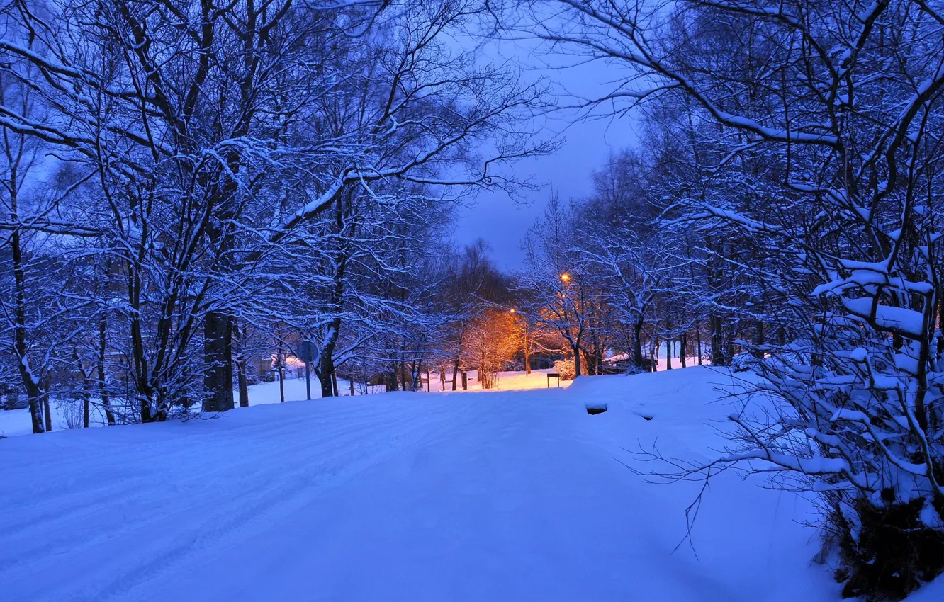 Фото обои зима, дорога, свет, снег, деревья, ночь, огни, вечер