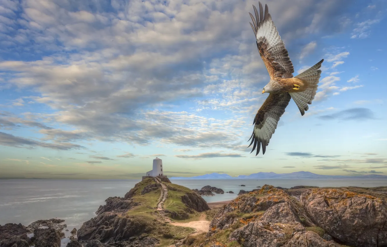 Фото обои море, небо, облака, полет, горы, камни, рендеринг, скалы