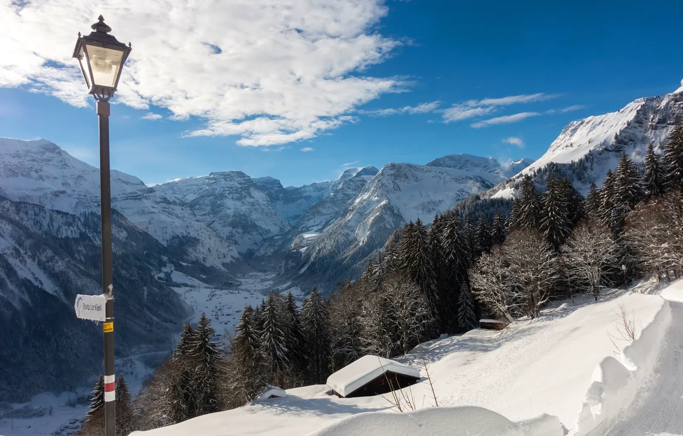 Фото обои зима, лес, небо, солнце, облака, снег, деревья, горы