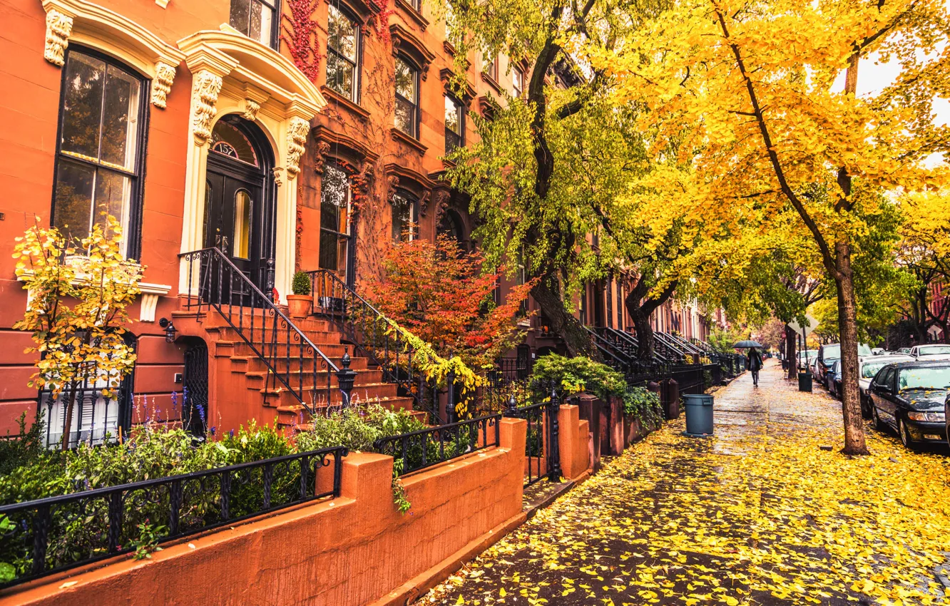 Фото обои осень, листья, девушка, деревья, зонтик, улица, листва, Нью-Йорк