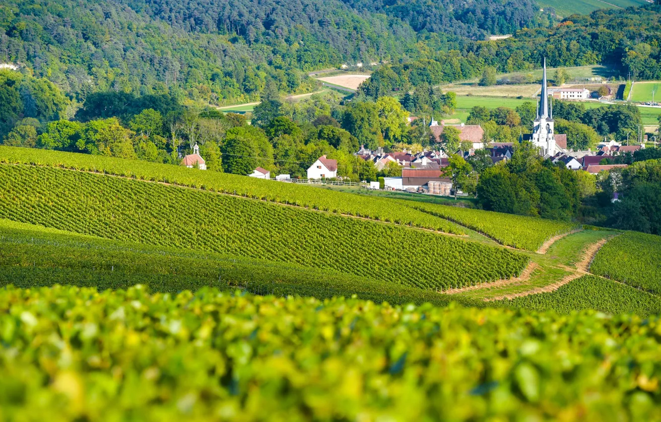 Фото обои горы, город, France, виноградники, Champagne