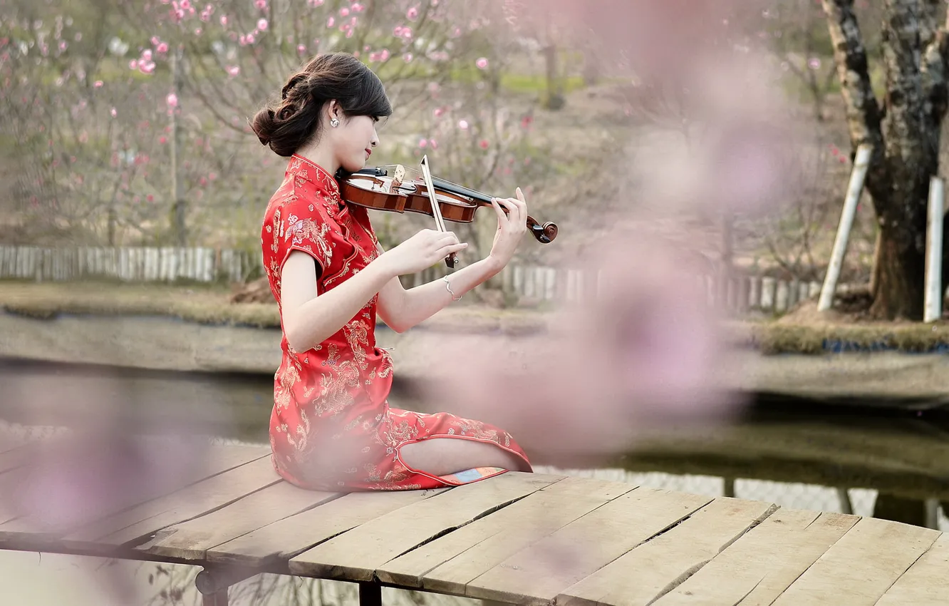 Фото обои девушка, скрипка, азиатка