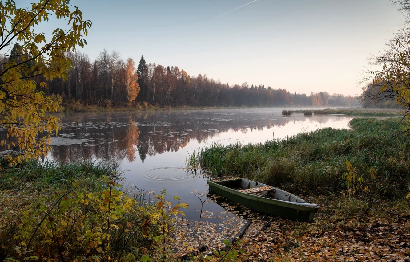 Фото обои осень, лодка, Lake Artyomovskoe