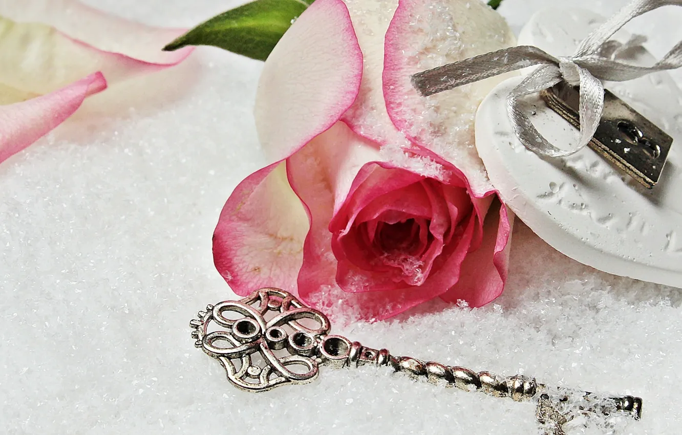 Фото обои love, rose, heart, winter, snow, key, romantic, lock