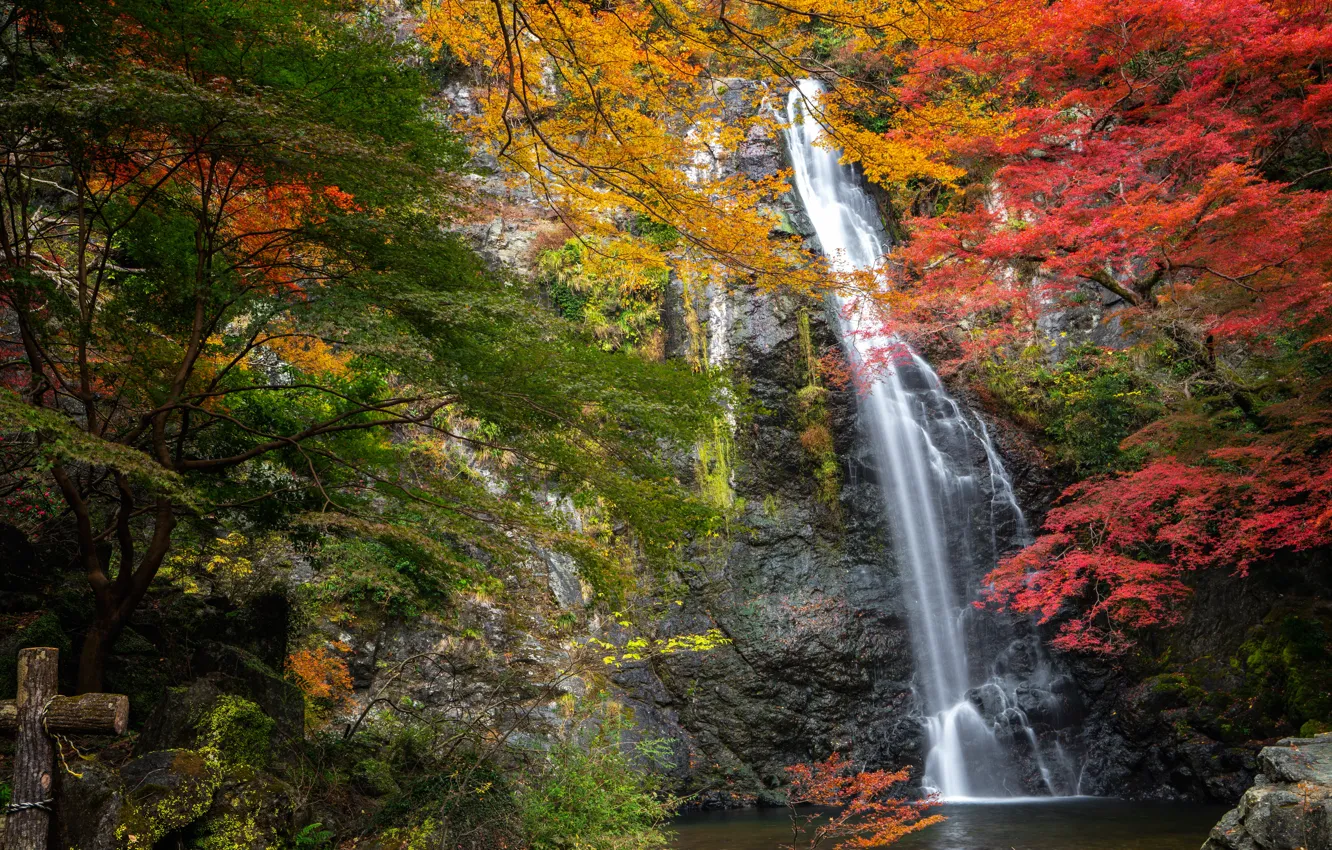 Фото обои осень, деревья, скала, парк, водопад, Япония, Japan, Osaka