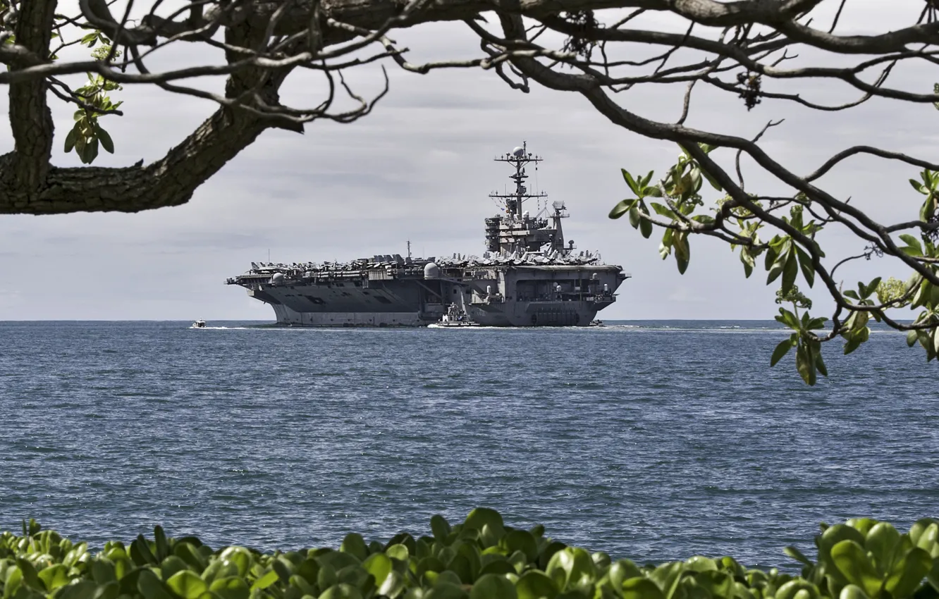 Фото обои море, ветки, дерево, берег, корабль, авианосец, ракурс, американский