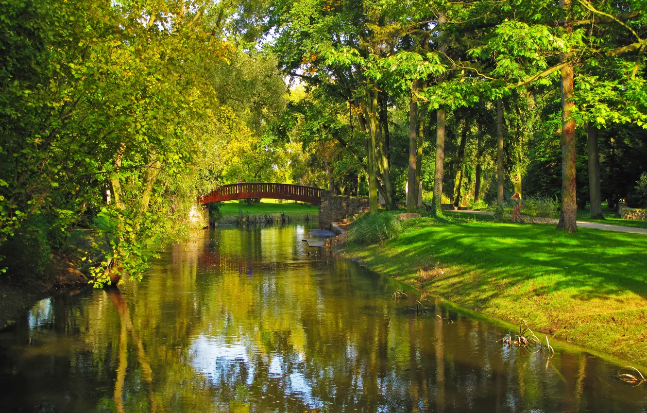 Фото обои трава, деревья, мост, природа, парк, река, фото, Польша
