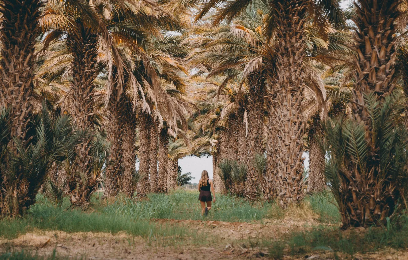 Фото обои трава, девушка, природа, пальмы
