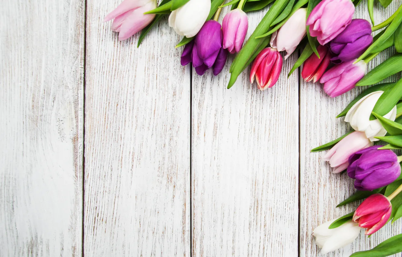 Фото обои цветы, стол, обои, тюльпаны, бутоны, wood, композиция, Olena Rudo