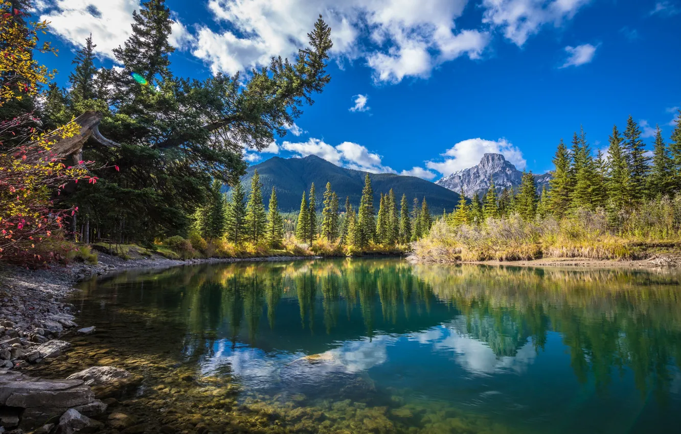 Фото обои деревья, горы, озеро, Канада, Альберта, Alberta, Canada, Alberta's Rockies