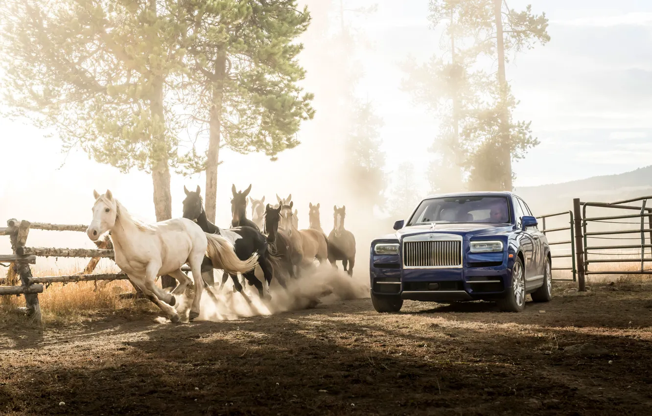 Фото обои rolls-royce, horse, роллс-ройс, cullinan, каллинан