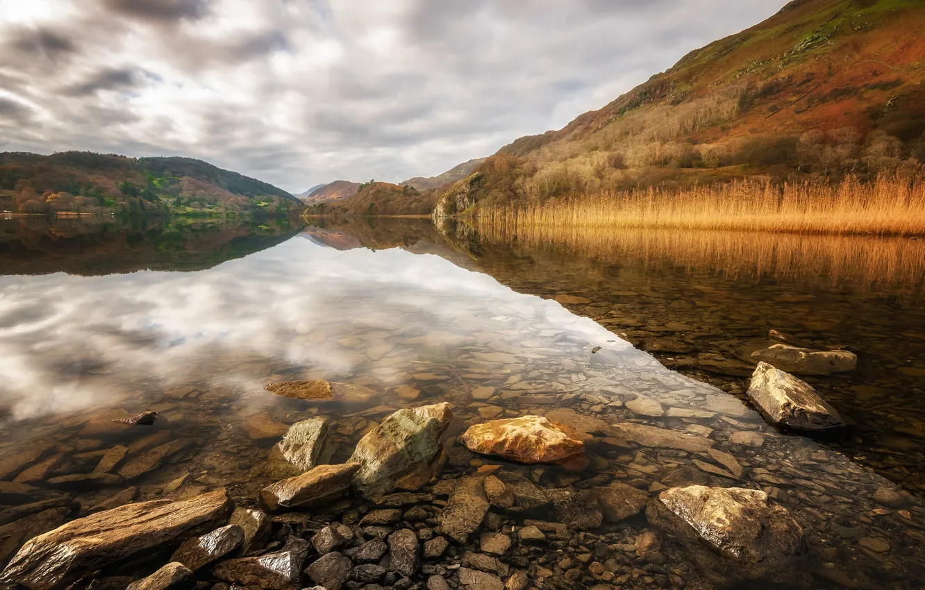 Фото обои озеро, камни, Уэльс, Сноудония, Ллин Гвинант
