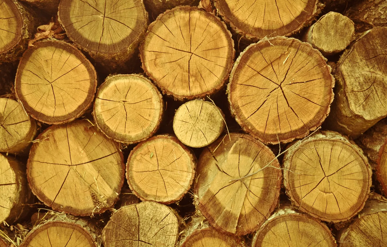 Фото обои круги, дерево, дрова, брёвна, пеньки