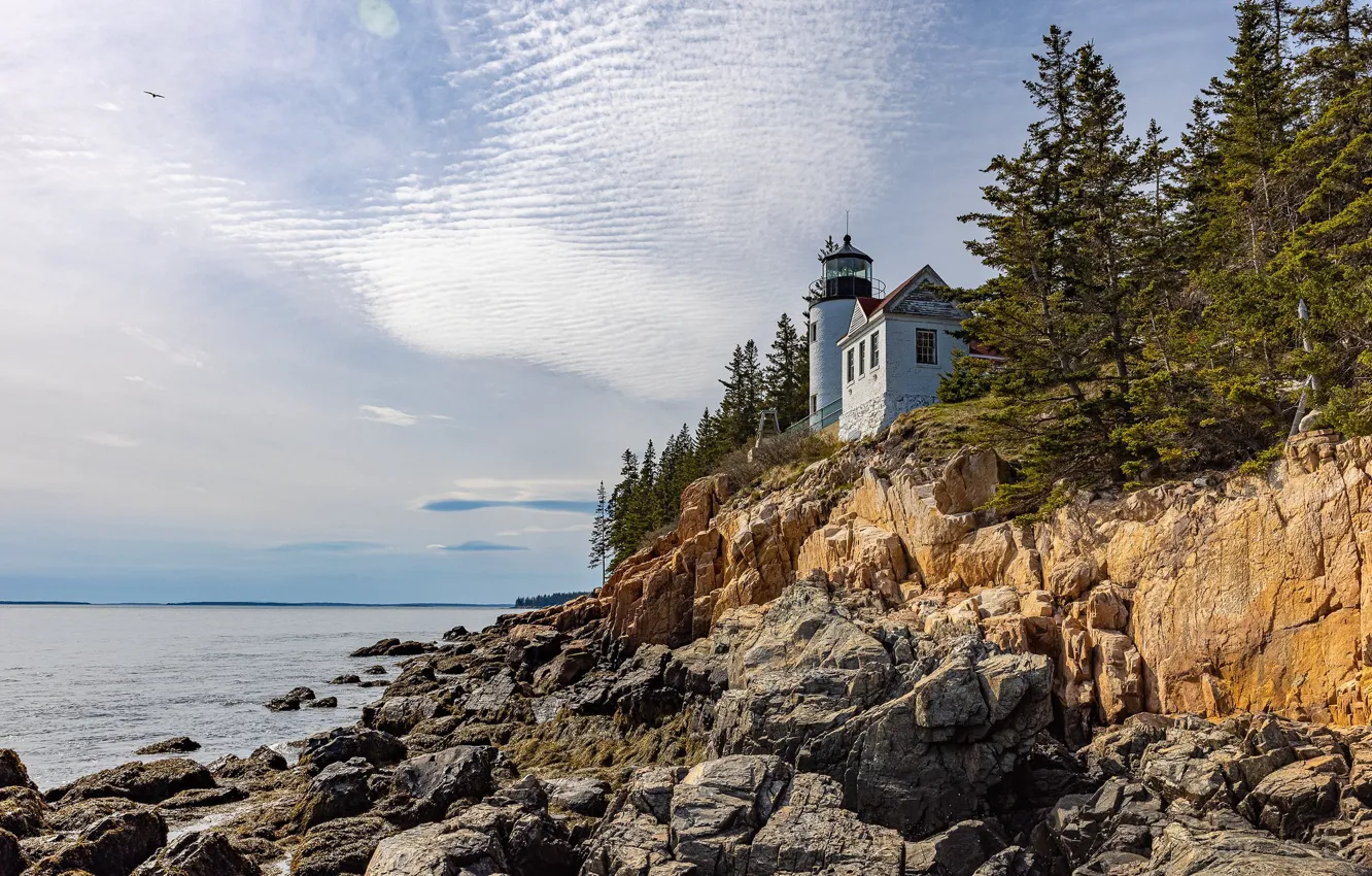 Фото обои USA, Maine, Atlantic, Bass Harbor Head Light, Photo by Craig