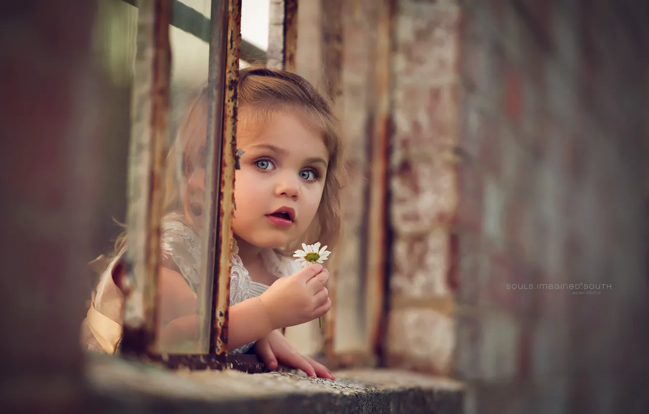 Фото обои цветок, окно, девочка