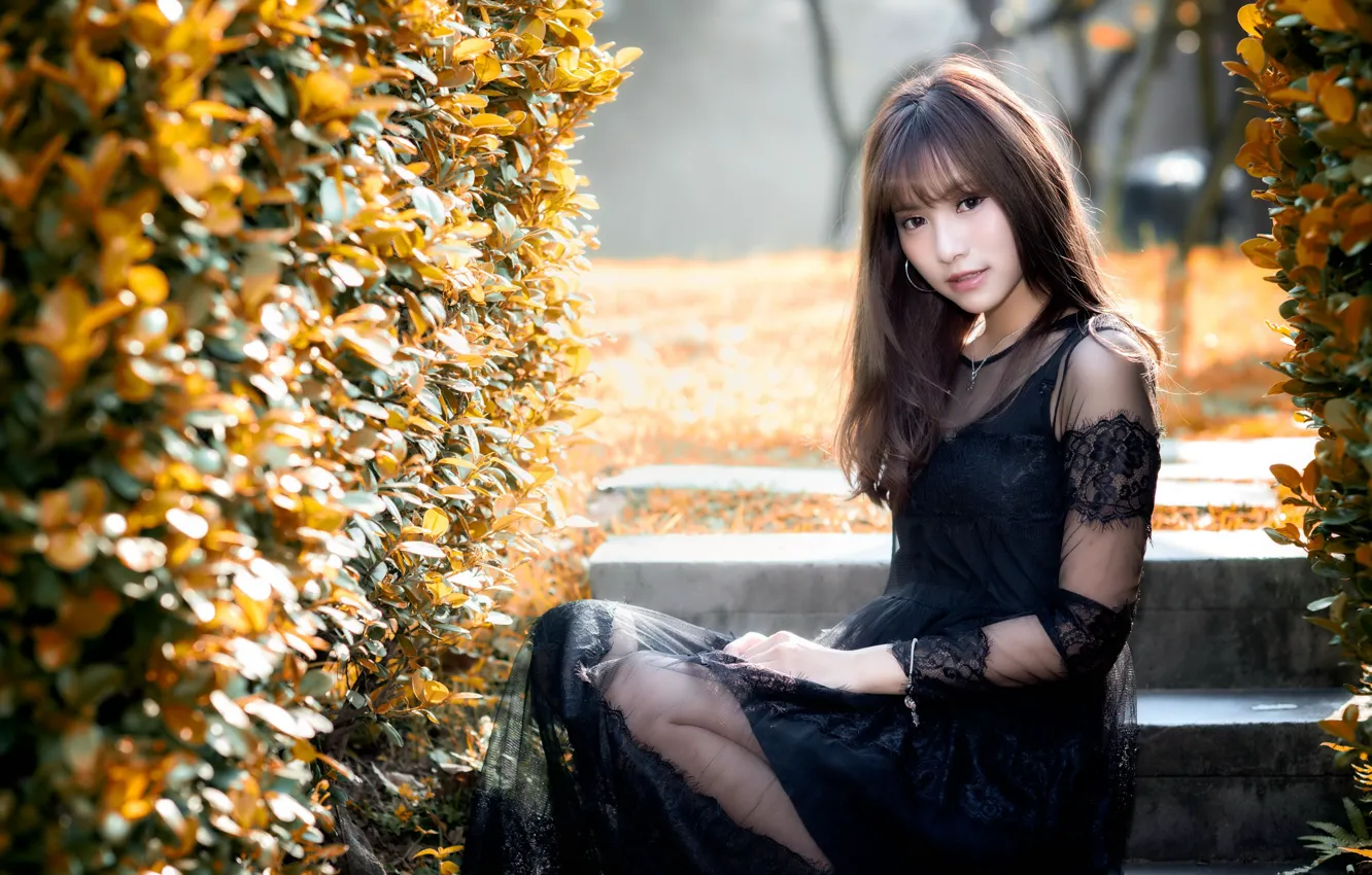 Фото обои взгляд, девушка, азиатка