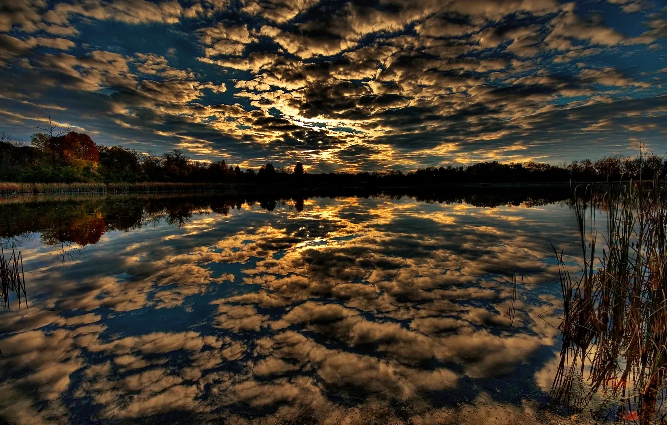 Фото обои лес, небо, вода, отражение, Облака