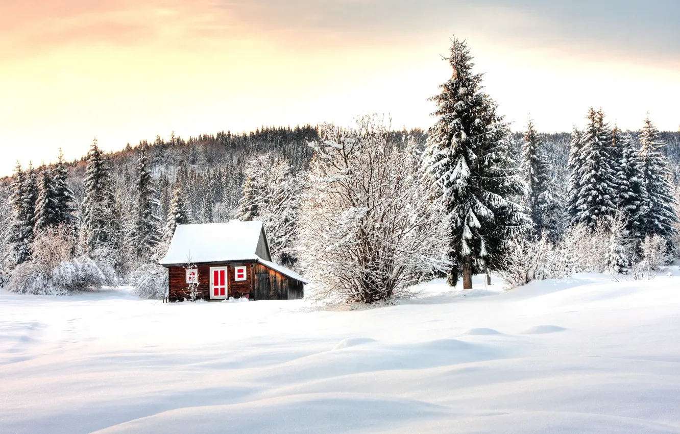 Фото обои зима, лес, снег, деревья, домик, Winter lodge