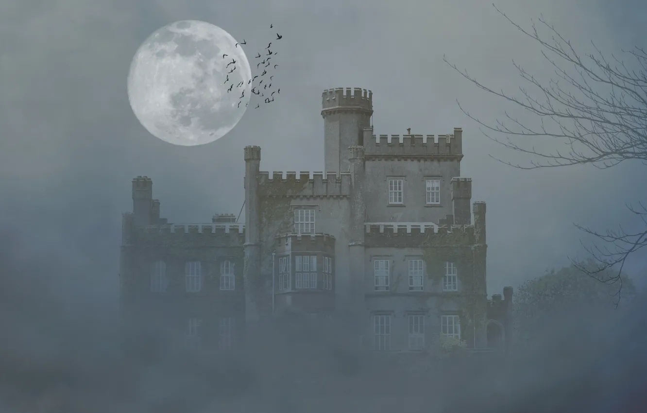 Фото обои деревья, птицы, туман, замок, луна, мрак