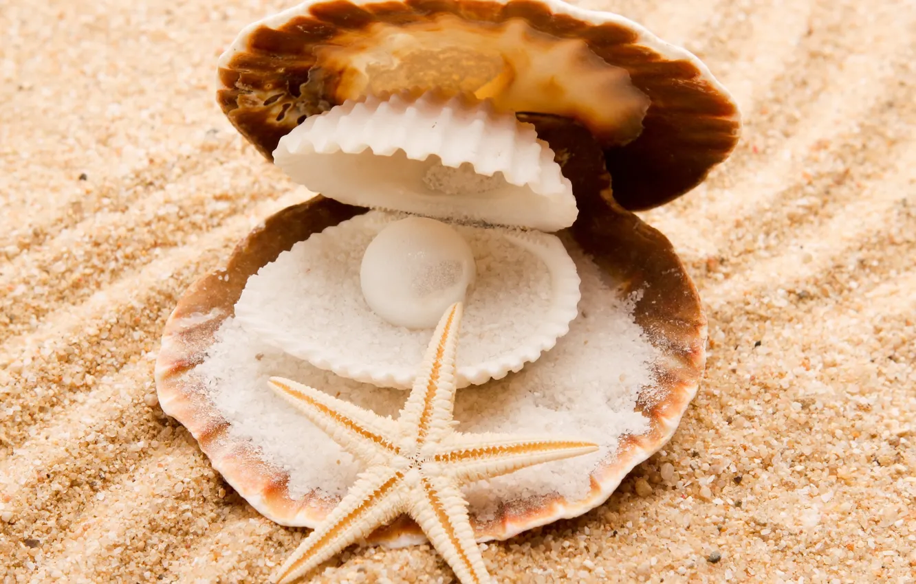 Фото обои песок, море, природа, морская звезда, жемчужина, морские ракушки