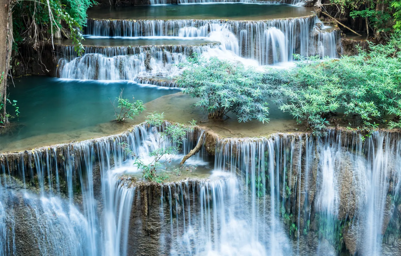 Фото обои зелень, река, водопады, кусты