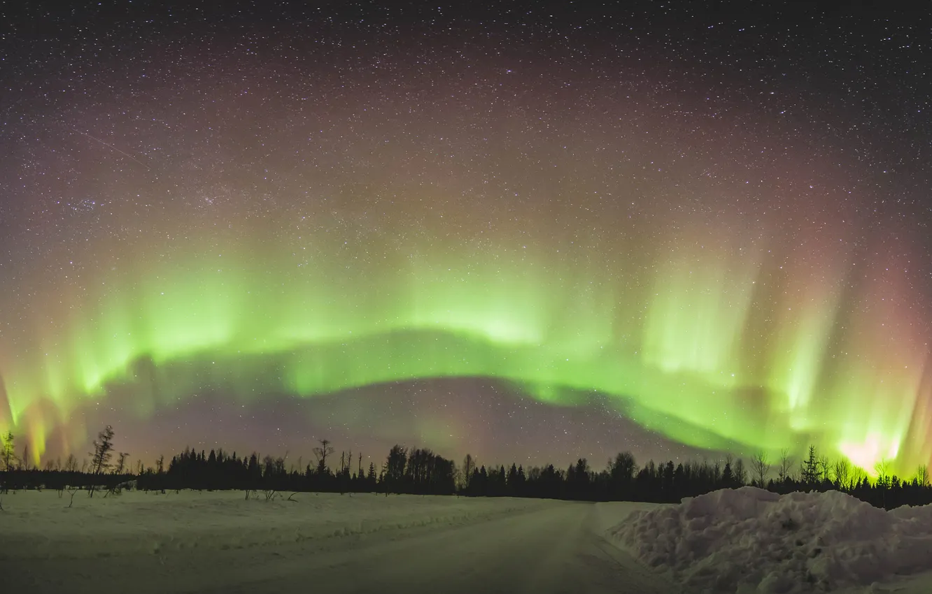 Фото обои дорога, небо, звезды, снег, деревья, северное сияние