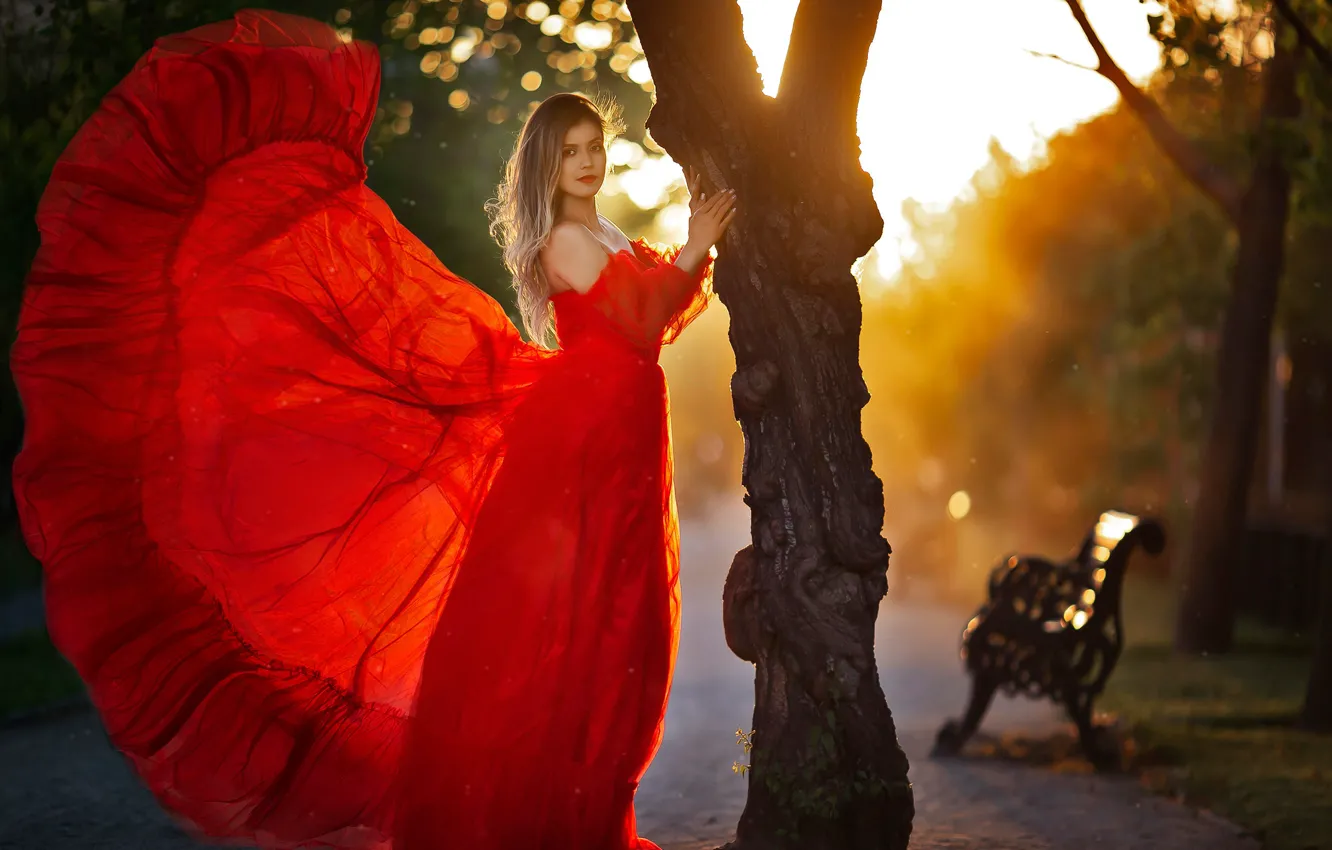 Фото обои девушка, поза, парк, дерево, красное платье, Лариса Корсикова