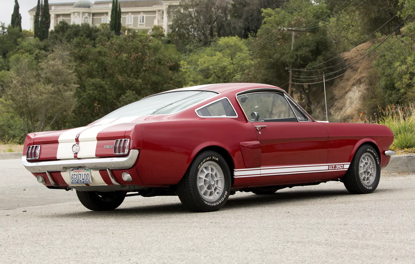 Фото обои Mustang, Ford, Shelby, классика, 1966, задок, GT350