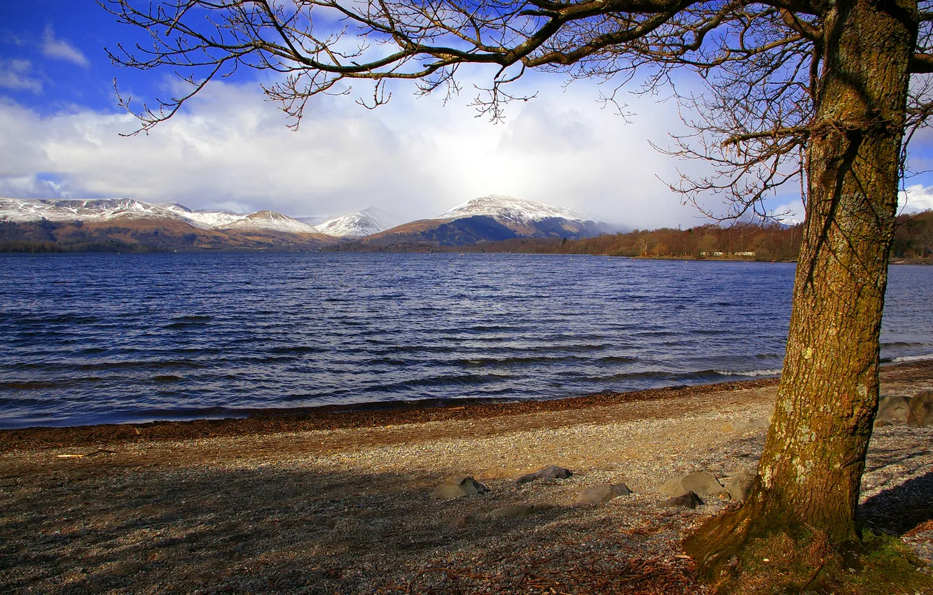Фото обои небо, горы, озеро, дерево, Шотландия, Лох-Ломонд