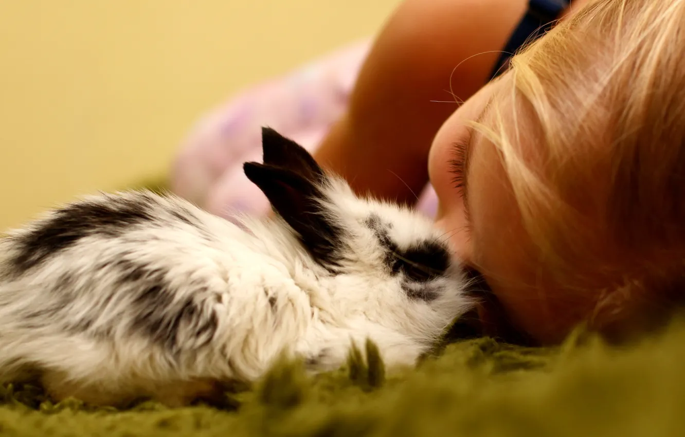 Фото обои настроение, кролик, девочка