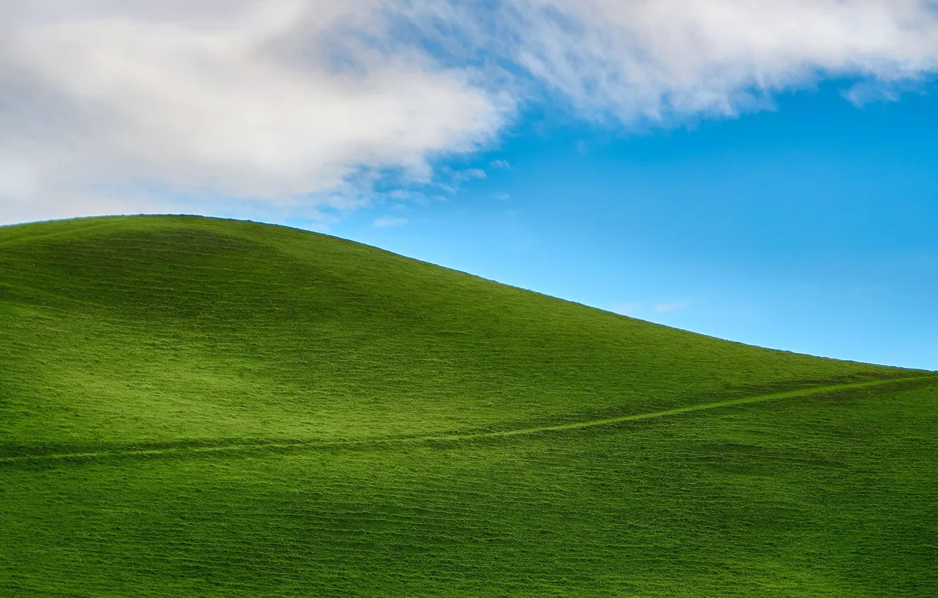 Фото обои green, grass, sky, nature, hill