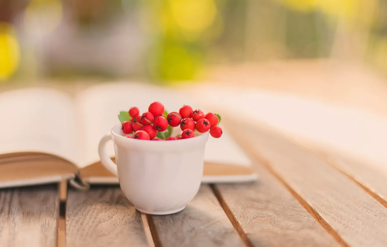 Фото обои осень, ягоды, стол, размытость, чашка, красные, книга, рябина