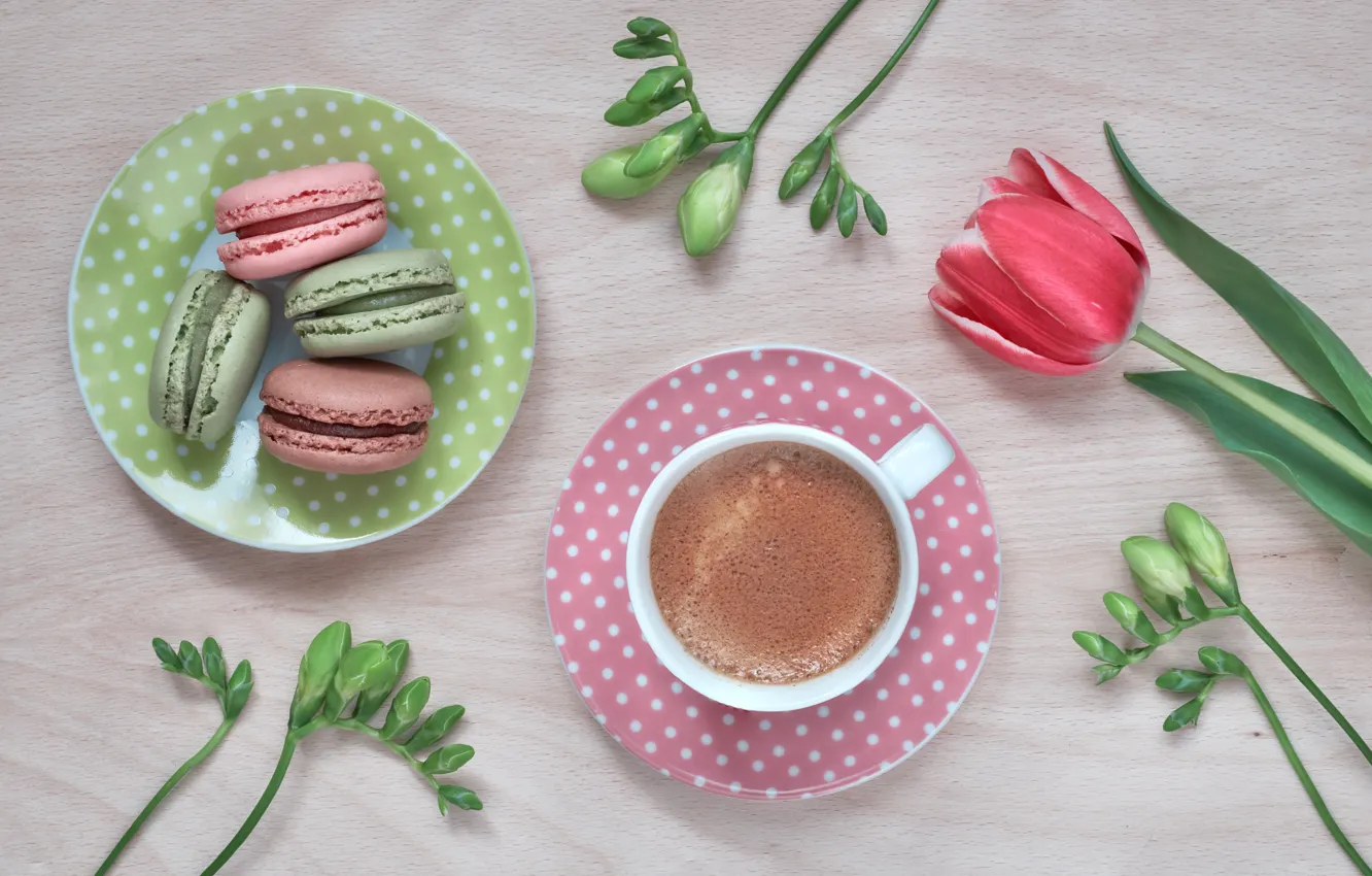Фото обои цветы, тюльпан, кофе, печенье, macarons, Anya Ivanova