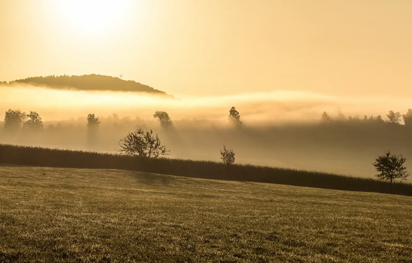 Фото обои пейзаж, туман, утро