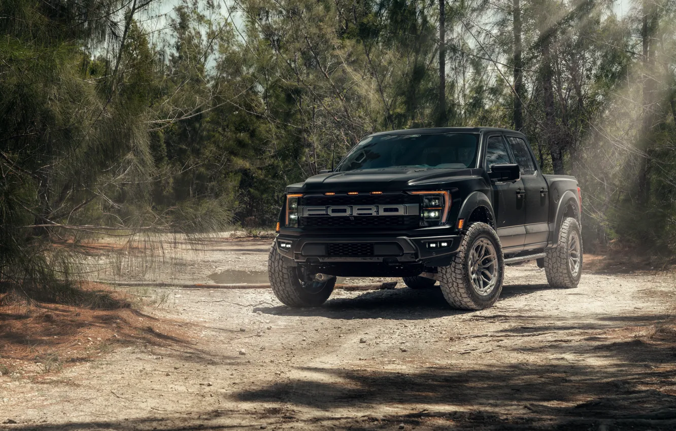 Фото обои Ford, forest, black, road, trees, pickup, Ford F-150