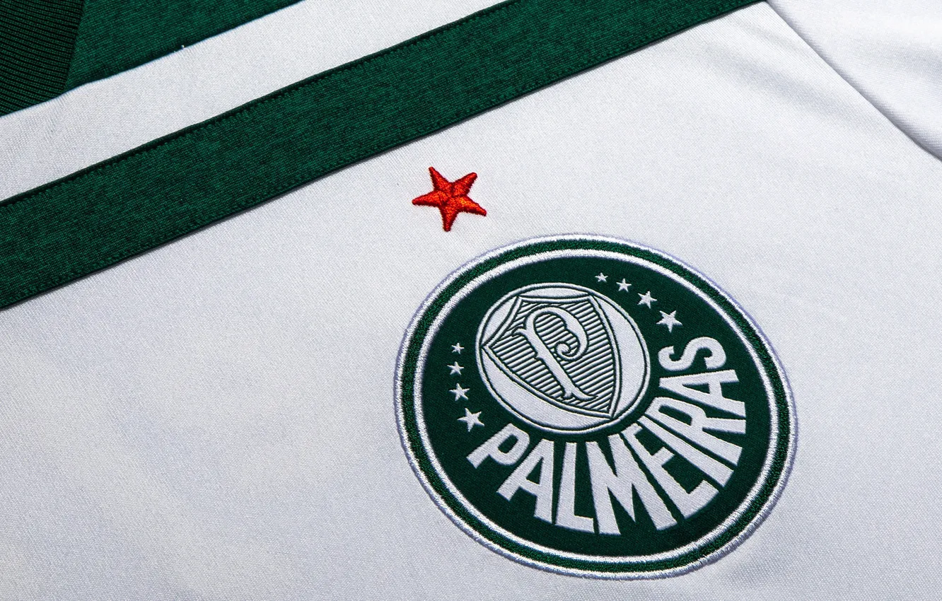 Фото обои wallpaper, sport, logo, football, t-shirt, Palmeiras