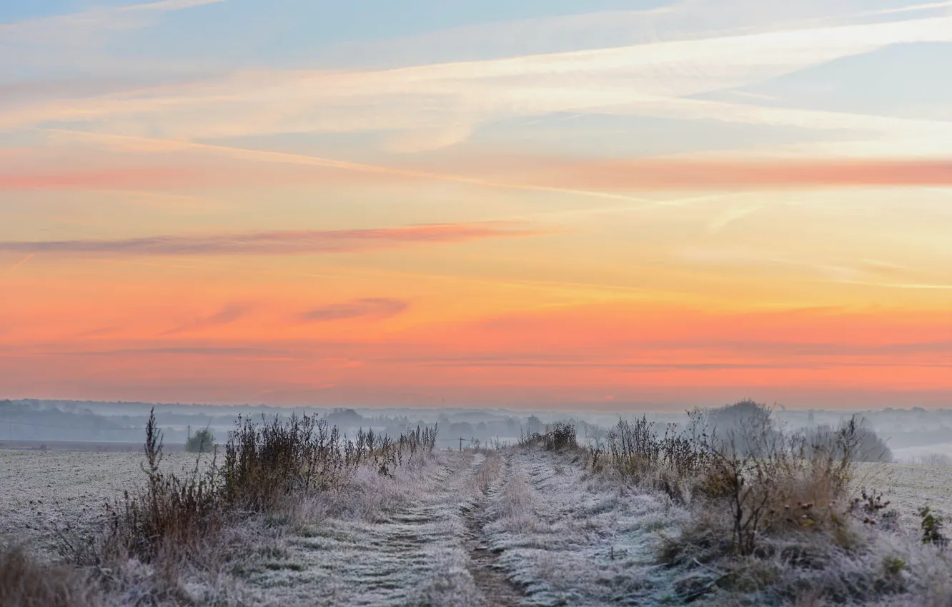 Фото обои зима, поле, закат